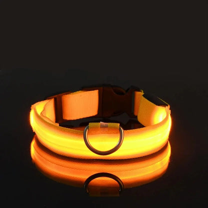 Glowing Pet Collar