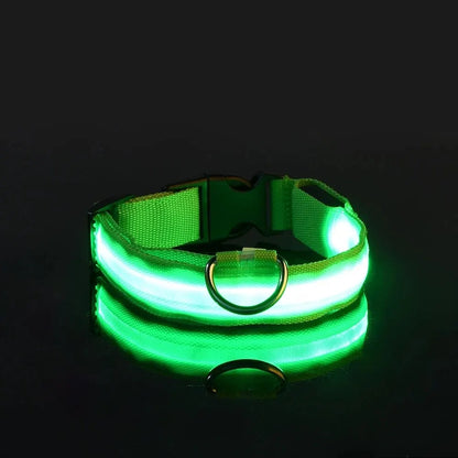 Glowing Pet Collar