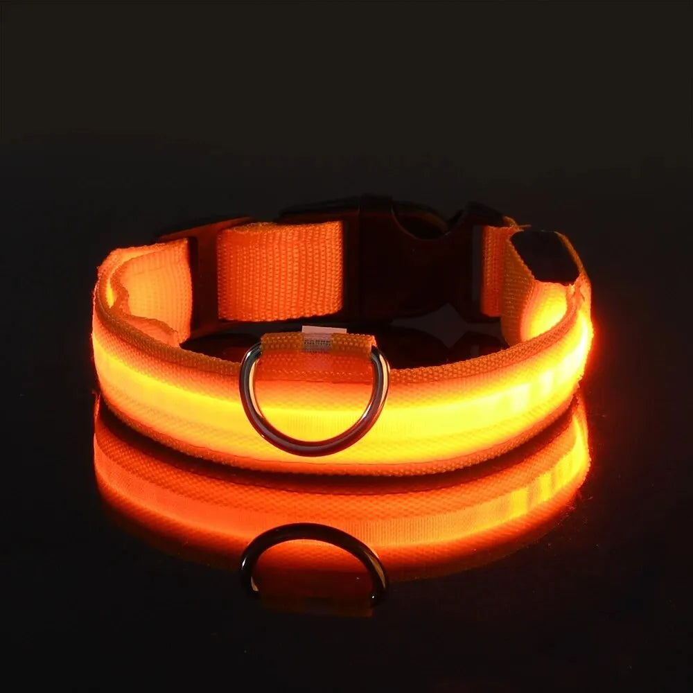 Glowing Pet Collar