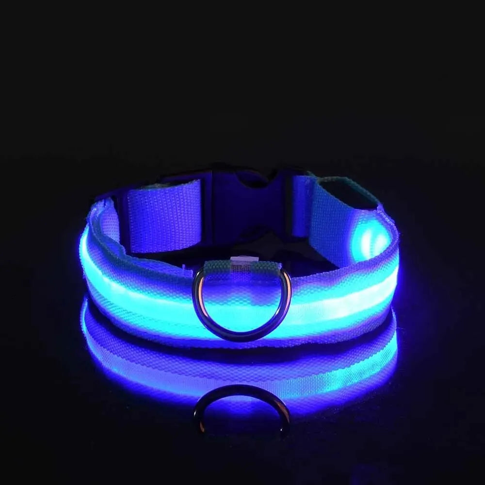 Glowing Pet Collar