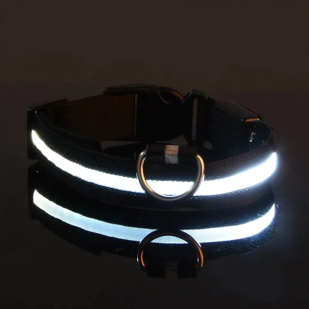 Glowing Pet Collar