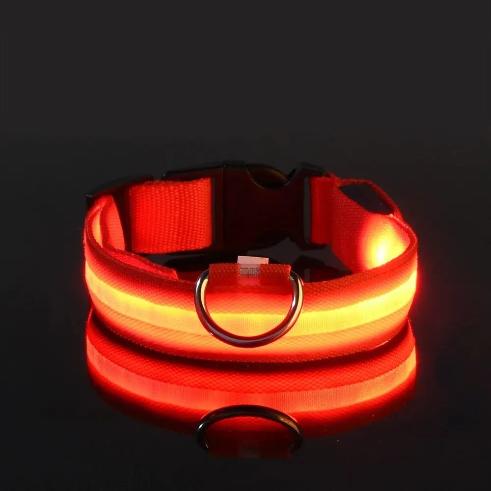 Glowing Pet Collar