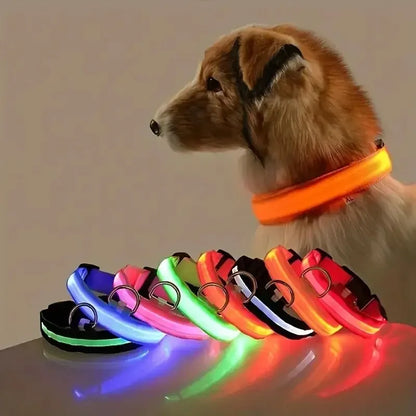 Glowing Pet Collar